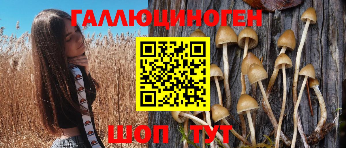 Псилоцибиновые грибы ЛСД  Вход с VPN  Магнитогорск 